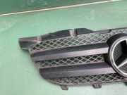 Kühlergrill komplett Mercedes-Benz Sprinter 5t Kasten (906) 9068800385
