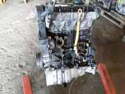 Motor ohne Anbauteile (Diesel) VW Passat B5.5 (3B3) AVB