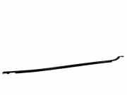 Türverkleidung links hinten Citroen DS5 ()