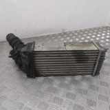 Ladeluftkühler CITROËN BERLINGO Furgon (M_) 1.6 HDI 75 (MB9HW) 874964GJ