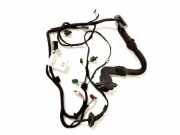 Türverkabelung hinten rechts MERCEDES-BENZ M (W164) ML 350 4-matic (164.186) A0015456045