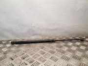Heckklappe Gasdruckfeder links OPEL ZAFIRA A (F75_) 2.0 DTI 16V 905794400512