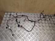 Kabelbaum Audi Q5 (8R) 8K2971566A