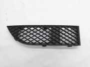 Kühlergrill rechts BMW 7er (E65, E66) 7135564