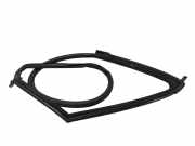 Türdichtung Tesla Model S (5YJS) 4F060902