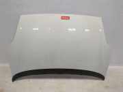 Motorhaube FIAT PUNTO EVO (199_) 1.2