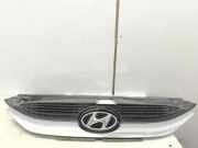 Vorderer oberer Gitter HYUNDAI ix35 (LM, EL, ELH) 1.7 CRDi 863512Y000
