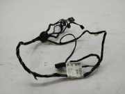Kabel der vorderen linken Tür MERCEDES-BENZ B (W245) B 200 CDI (245.208) A1695407805
