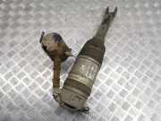 Stoßdämpfer rechts hinten Audi A8 (4E) 15140002844