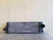 Ladeluftkühler NISSAN PRIMASTAR Furgon (X83) 2.0 dCi 115 93854162 8200411160C
