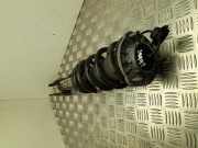 Stoßdämpferset ALFA ROMEO STELVIO (949_) 2.9 50553941