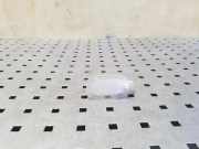 Andere Teile des Innenraums MERCEDES-BENZ B (W246, W242) B 220 CDI / d (246.203) A2218200401