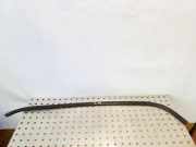 Fensterleiste Tür vorne rechts