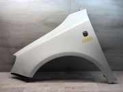 Kotflügel vorne links SKODA ROOMSTER (5J) 1.4