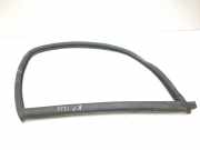 Türgummi links vorne Fiat Ducato Kasten (250)