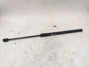 Heckklappe Gasdruckfeder links MERCEDES-BENZ A (W169) A 180 CDI (169.007, 169.307) 0405N