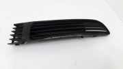 Gitter vorne unten VW PASSAT B5 (3B2) 1.9 TDI 3B0I53678