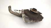 Radnaben vorne links ALFA ROMEO GIULIA (952_) 2.2 D (952AFA25, 952AFM25, 952ALA25) 00505397400