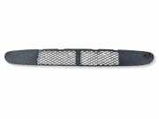 Gitter vorne unten MERCEDES-BENZ SL (R230) 500 (230.475) DMT2822