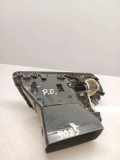 Frischluftgrill RENAULT GRAND SCÉNIC III (JZ0/1_) 1.9 dCi 1012127