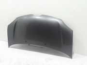 Motorhaube RENAULT TWINGO III (BCM_) 1.0 SCe 70 651004005R