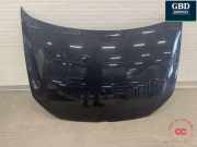 Motorhaube VW Polo V (6R, 6C) 6R0823031G