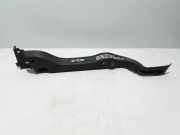 Kofferraumverkleidung RENAULT SCÉNIC III (JZ0/1_) 2.0 16V (JZ0G) 799120013R