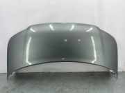 Motorhaube VW TRANSPORTER V (T5) Furgon 2.5 TDI