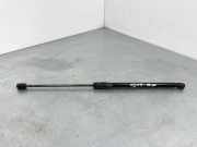 Heckklappe Gasdruckfeder links MERCEDES-BENZ C (W205) C 250 BlueTEC / d (205.008) 7165390300N
