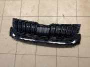 Vorderer oberer Gitter SKODA KODIAQ (NS7) 2.0 TDI 4x4 565853653