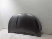 Motorhaube RENAULT ESPACE V (JR_) 1.6 dCi 160 651009856R