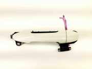 Türgriff rechts hinten Toyota RAV 4 IV (A4)