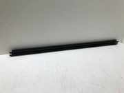 Vertikale Verkleidung an der hinteren linken Tür CITROËN DS5 2.0 HDi 165