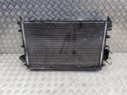 Kühler Opel Ampera (D1JOI) 20925997