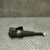 Rear right pneumo shock absorber AUDI A8 D4 (4H_) 3.0 TDI quattro 4H0616002AJ