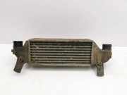 Ladeluftkühler FORD FOCUS (DAW, DBW) 1.8 TDCi
