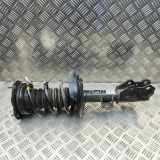 Stoßdämpfer vorne links TOYOTA C-HR (_X2_, _H2_) Hybrid (ZYX20) 48520-F4230