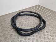 Türdichtungsgummi hinten links PEUGEOT 208 1.2