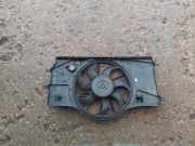 Elektrolüfter Renault Laguna III (T) 3135103780