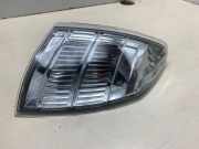 Blinker vorne links NISSAN X-TRAIL (T30) 2.2 dCi 4x4