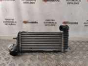 Ladeluftkühler FORD TRANSIT CONNECT 1.5 TDCi BV619L440CK FCC7A