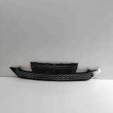 Gitter vorne unten LAND ROVER RANGE ROVER EVOQUE (L538) 2.2 D 4x4 BJ32-17K945-AC