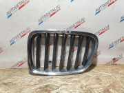 Vorderer oberer Gitter BMW X1 (E84) sDrive 18 d 2993307 2993305