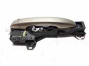 Türgriff rechts Renault Scenic IV (J9)