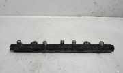 Einspritzleiste Land Rover Freelander 2 (L359) 0445214011