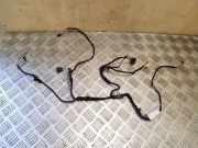 Kabel Tür Audi A6 (4G, C7) 4G5971693A