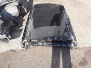 Dach mit Sonnendachausschnitt Renault Megane IV Schrägheck (B9A) 731124659R