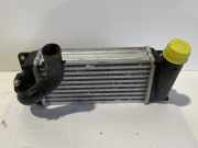 Ladeluftkühler Toyota Auris (E15) JD1270000921
