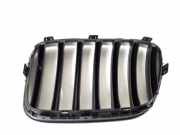 Kühlergrill oben BMW X3 (F25) 51117237422