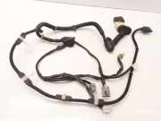Kabel Tür Nissan Primera (P12) 24125AU201
